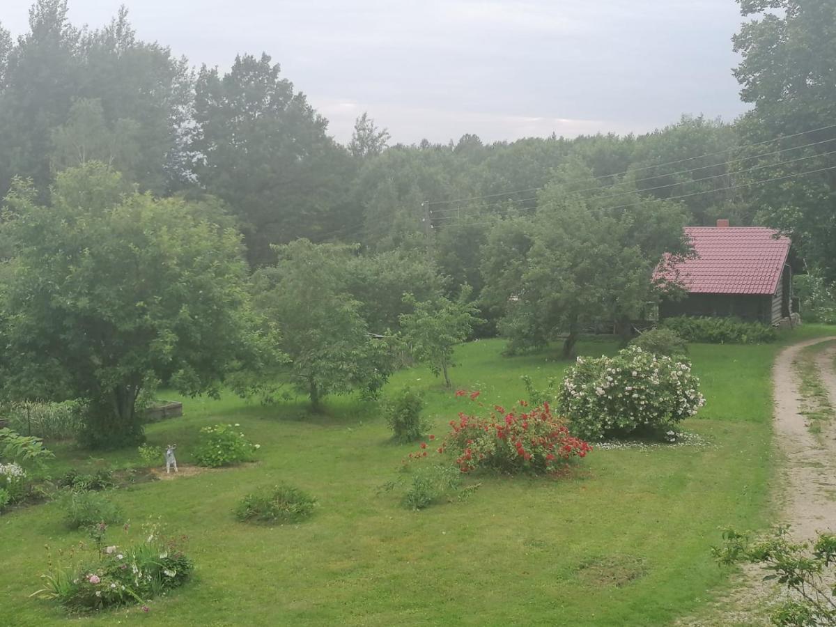 شقة Mālpils  في Country House Podini المظهر الخارجي الصورة