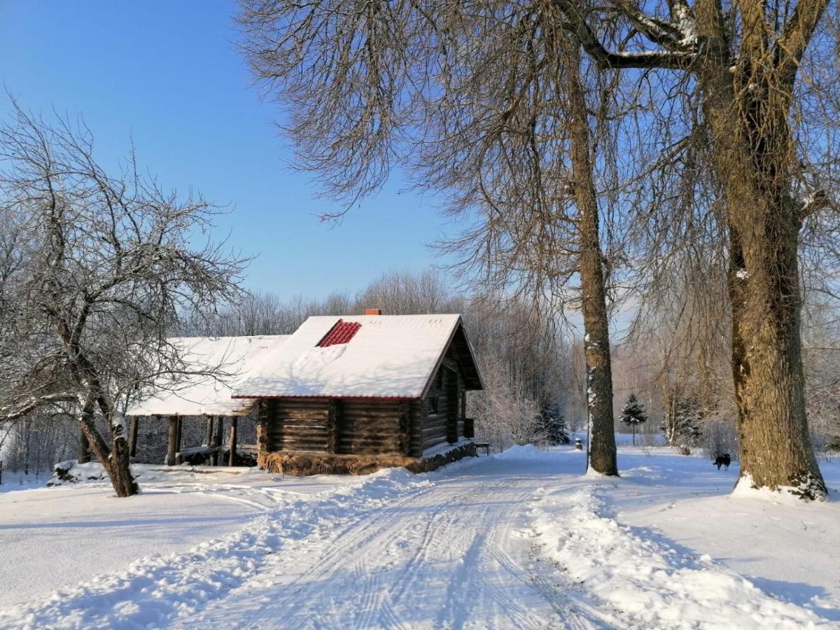 شقة Mālpils  في Country House Podini المظهر الخارجي الصورة